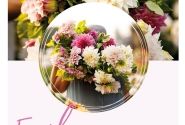 Dahlia hortensis Emily