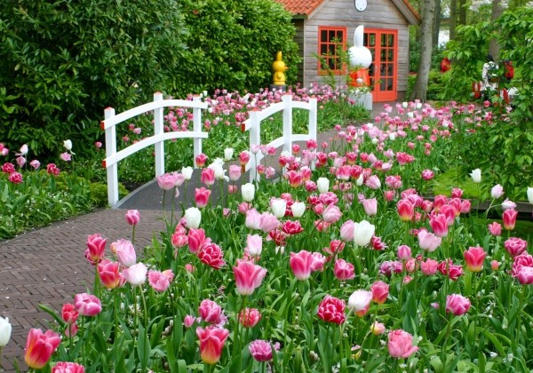 Combinations Rosa Blutenwelle